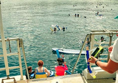 Maui Snorkeling Tours | Best Snorkel Tours to Molokini & Beyond