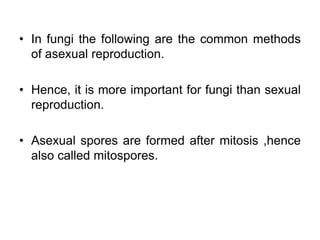 Reproduction in fungi | PPT