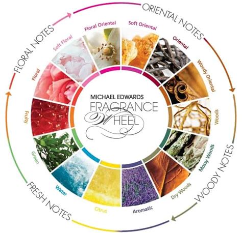 Fragrance Families Explained Easily and Simply | Everfumed | Fragrance ...