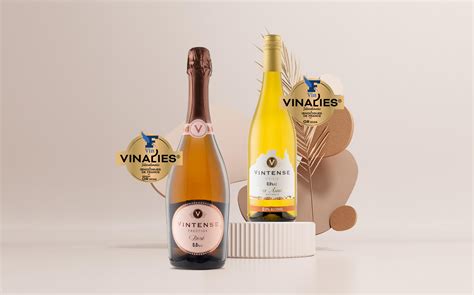 Vintense Alcoholvrije Wijn Alcoholvrije Cocktail