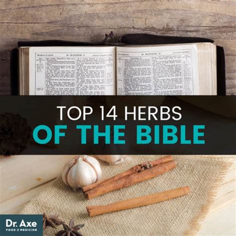 Top 14 Herbs Of The Bible That Heal And Nourish Dr Axe