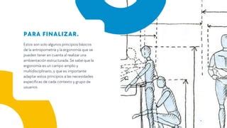 Principios De La Antropometr A Y Ergonom A Ppt Descarga Gratuita