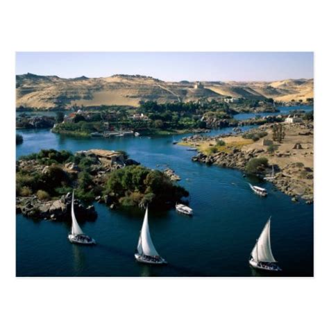 The Nile River Postcard | Zazzle