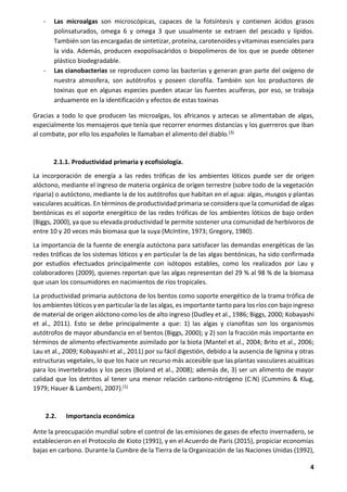 Investigacion Formativa Daru Pdf