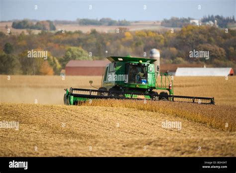 A John Deere Combine Harvesting A Crop Of Soybeans In Autumn With