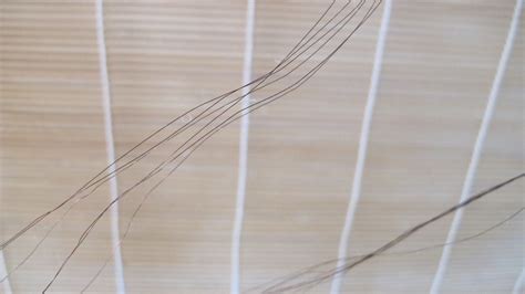 Compass Classical Music Cable Test II The Story Of The Naked King