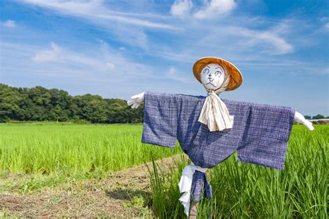 案山子とサンドイッチ サカキノホトンブ 榊真一郎