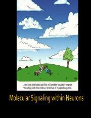 Types Of Neurotransmitter Receptors Ionotropic Vs Metabotropic