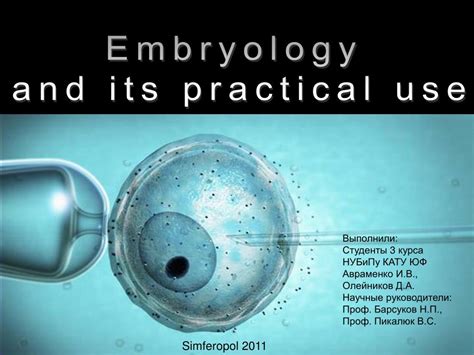 Ppt Embryology And Its Practical Use Powerpoint Presentation Free