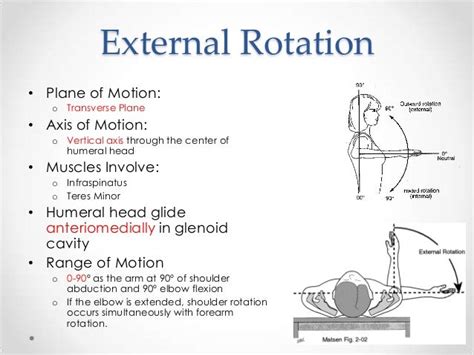 Normal rom shoulder