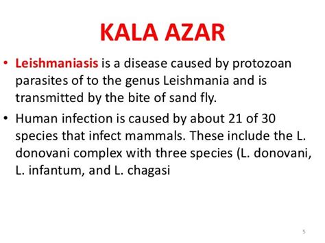 Leishmaniasis 120609100101 Phpapp01