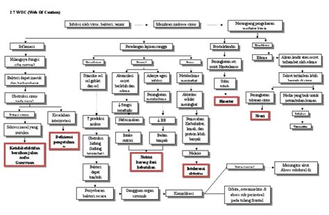 Fix Woc Sinusitis Pdf