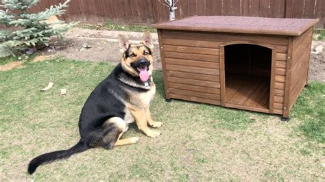 5 Best Dog Houses for German Shepherds (Outdoor & Weather Proof)