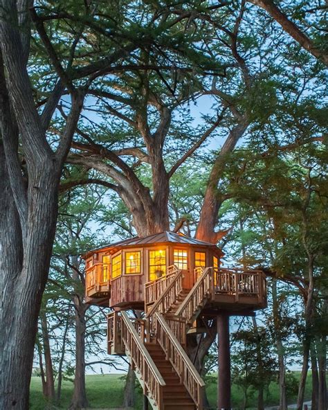 Would You Live In These Treehouse Cabins? | Tree house plans, Beautiful ...