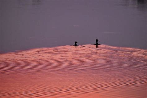 Burnett County - Wisconsin Counties Association