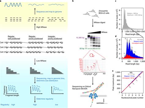 Outline And Initial Characterization Of The Array Seq Strategy A