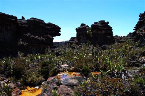 Roraima - Venezuela stock image. Image of plateau, geology - 38503123