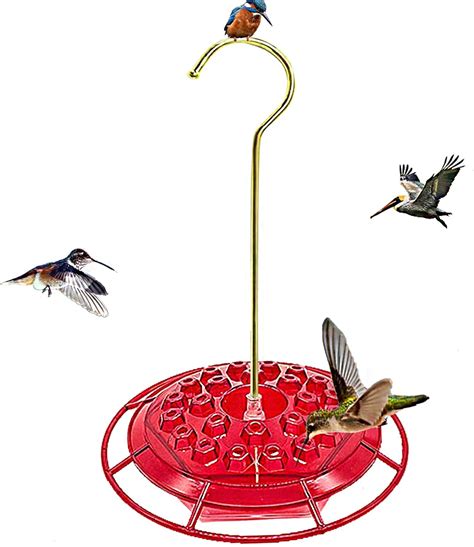 Mangeoire Pour Colibris NMM Abreuvoir D Eau De Colibri Suspendu De Avec