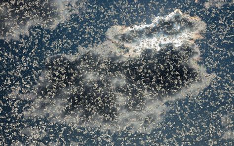 Carbon Sink - Chris O’Leary