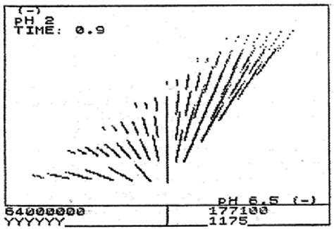 Predicted Two Dimensional Electrophoretic Map Of 64 Million