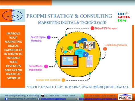 Solution De Stratégie Marketing Digital And Technologique Propmi® Strategy And Consulting Sarl