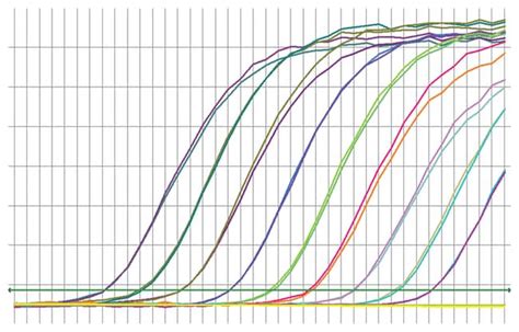 Thermo Scientific™ Master Mix Qpcr Maxima Sybr Green 2x Avec Flacon