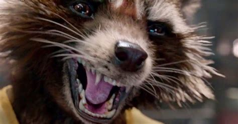 Hear Bradley Cooper as Rocket Raccoon! Three Guardians of the Galaxy ...