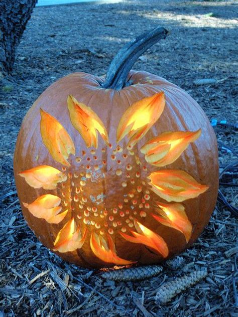 Sunflower Pumpkin Carving - WCCB Charlotte's CW