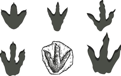 Dinosaur Footprints Reservation Stegosaurus Dragon Footprints Png Hot Sex Picture