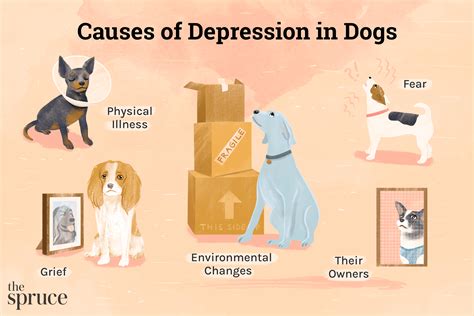 How Do You Know If Your Dog Has Depression