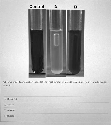 Solved Observe These Fermentation Tubes Phenol Red Carefully Name