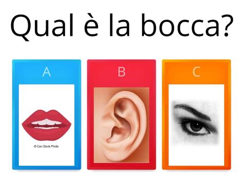 Indovina Le Parti Del Corpo Quiz