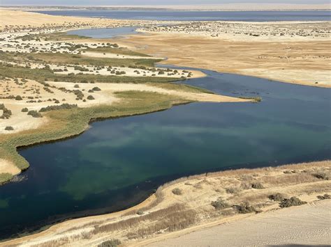 Valley Of Whales And Wadi El Rayan Waterfalls Tour From Cairo