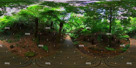 360° View Of Canberra National Botanic Gardens Rainforest 1 Alamy