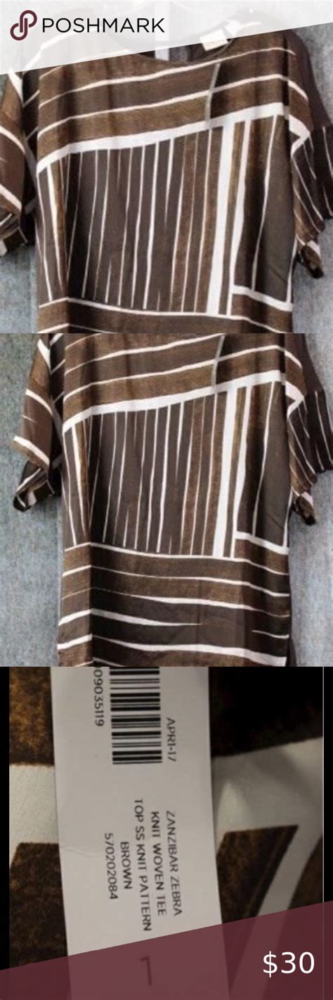 NWT Chicos Women S Brown Striped Blouse SZ 1 Striped Blouse Chico S