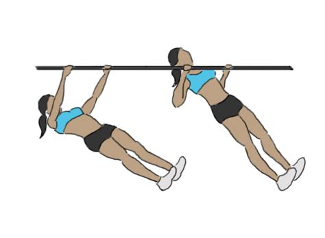 Inverted Rows Reverse Pull Ups GoFitnessPlan