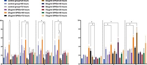 Influence Of Spio Labelling On The Function Of Bmscs In Chemokine