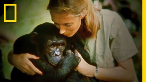 Jane Goodall Still Fights For Endangered Chimps She Needs Your Help