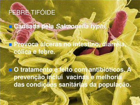 PPT Bacterioses PowerPoint Presentation ID 5140335