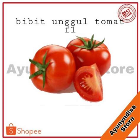 Jual Benih Biji Bibit Tomat Unggul Sayur Sayuran Loka Tomato Seeds Isi