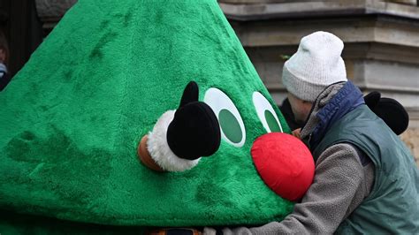 Gärtner stellt heimlich Weihnachtsbaum vor Kita verurteilt Haller