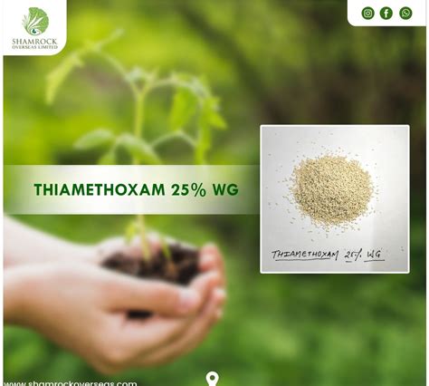 White Powder Thiamethoxam 25 WG Granular Soluble Insecticide Of