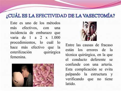 Vasectomia Ppt