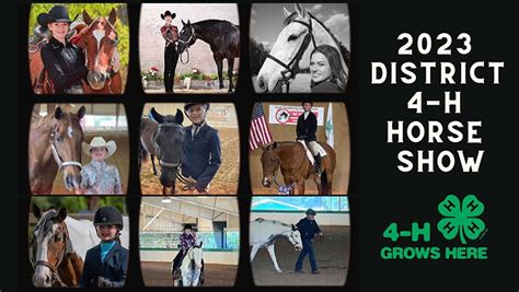 2023 district 4-H horse shows - The Coastland Times | The Coastland Times