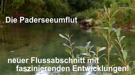 Paderseeumflut Neuer Flussabschnitt Mit Faszinierenden Entwicklungen