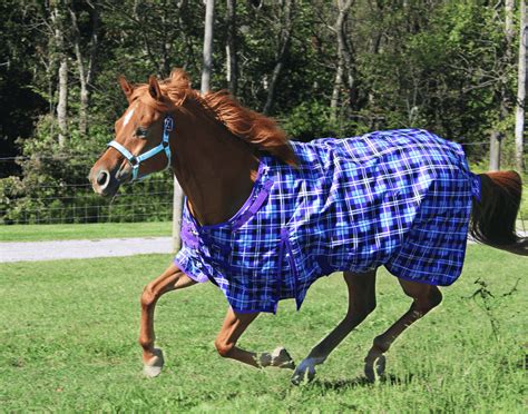 Arctic Plaid 1200D Waterproof Nylon Horse Winter Turnout Blanket - Two ...