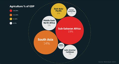 What are the Most Produced Cash Crops in Africa? – SWORDGRAM