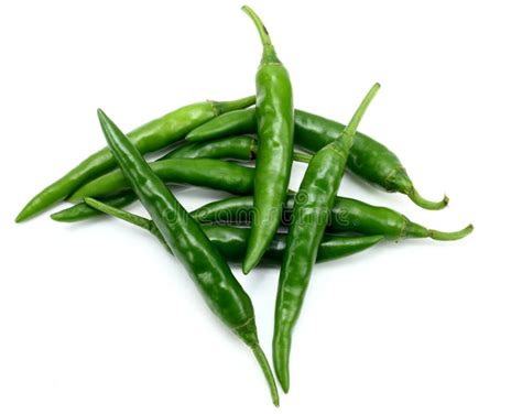 Green chilies stock photo. Image of kitchen, ground, food - 8817314