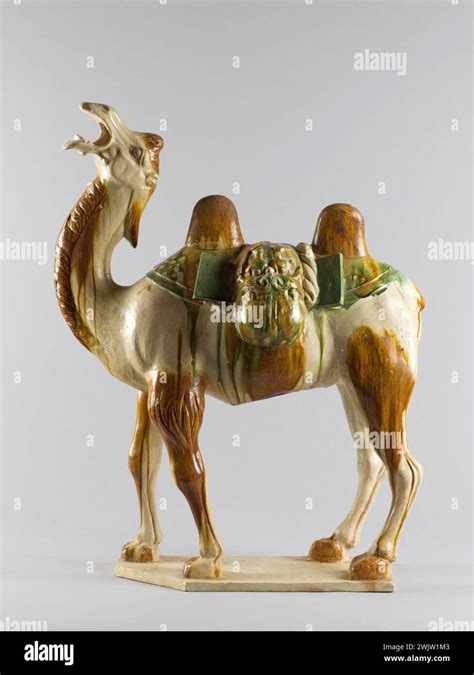 Tang Dynasty Camel Hi Res Stock Photography And Images Alamy