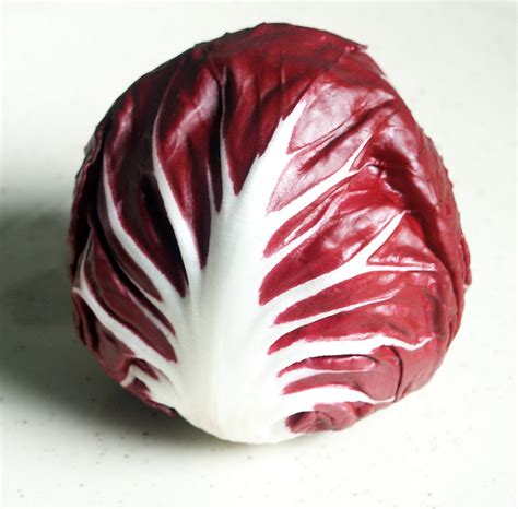 Radicchio Wiktionary The Free Dictionary